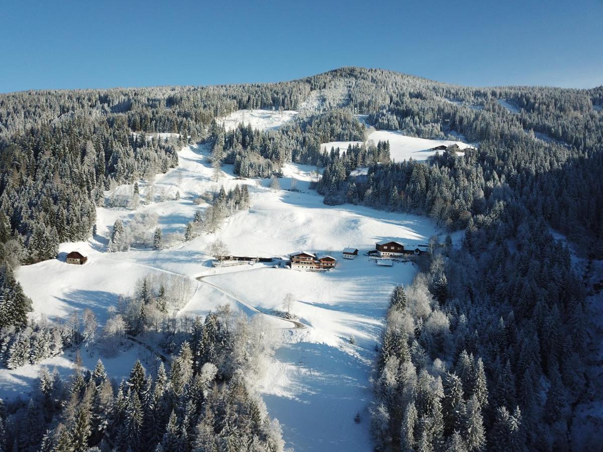 Pension Bergbauernhof Irxner Пихль Экстерьер фото